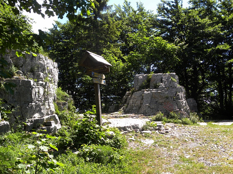 istria2009 1039.jpg - Risnjak - pierwsze skałki